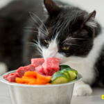The Purr-fect Portion: Mastering Your Cat's Diet with a Food Calculator